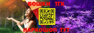 ECSTASY Камышлов