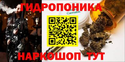 ECSTASY Камышлов