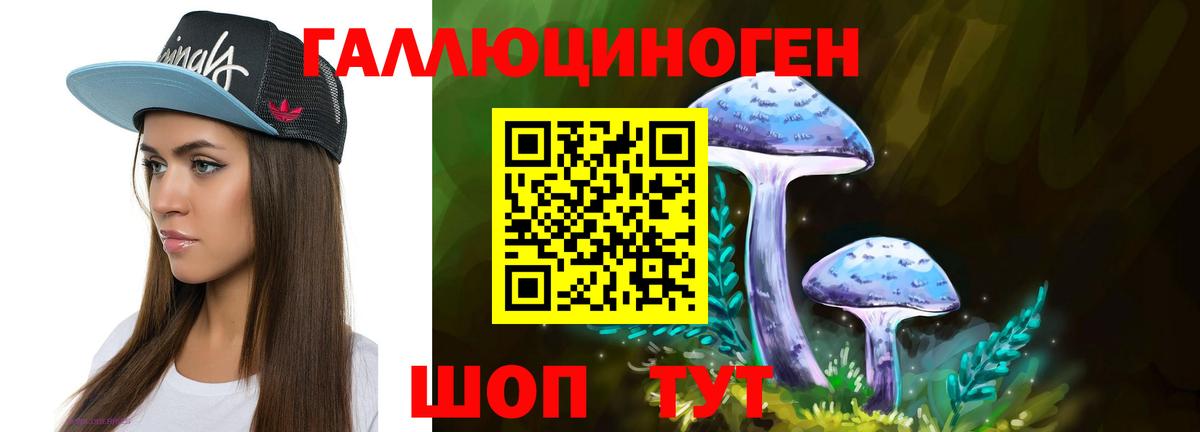Красный Сулин  Галлюциногенные грибы прущие грибы  Вход с VPN 